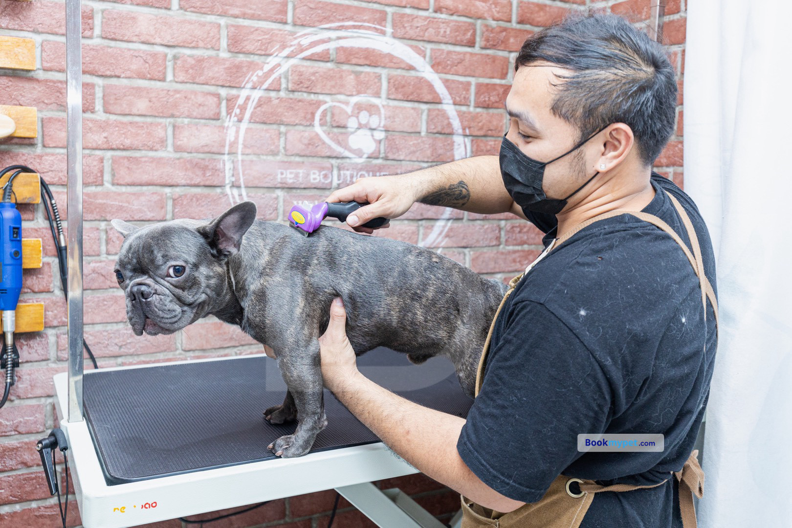 full in store grooming | medium dog (Includes Haircut/Shave)