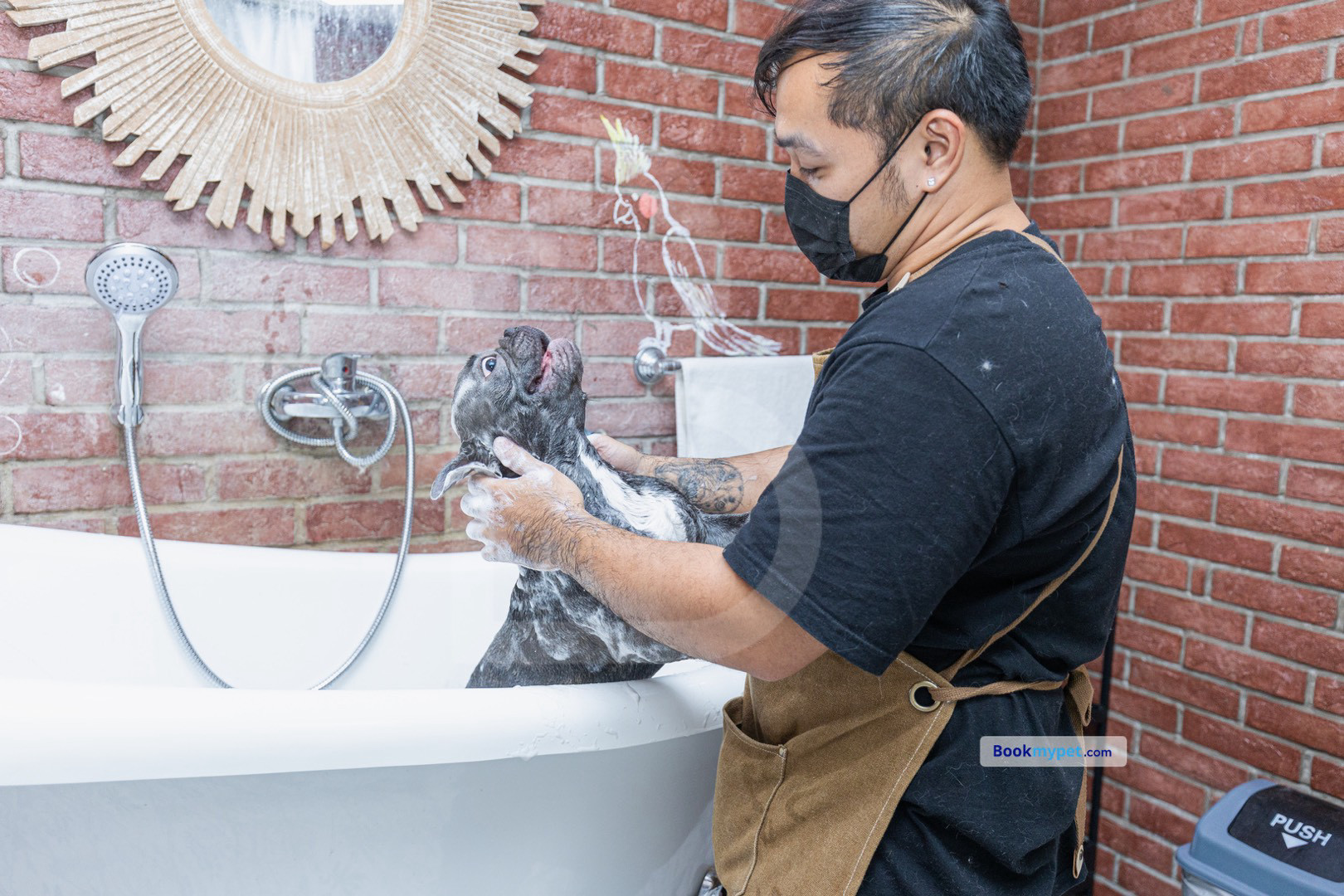 In Store Shower & Blowdry | Small Dog (Without Haircut/Shave)
